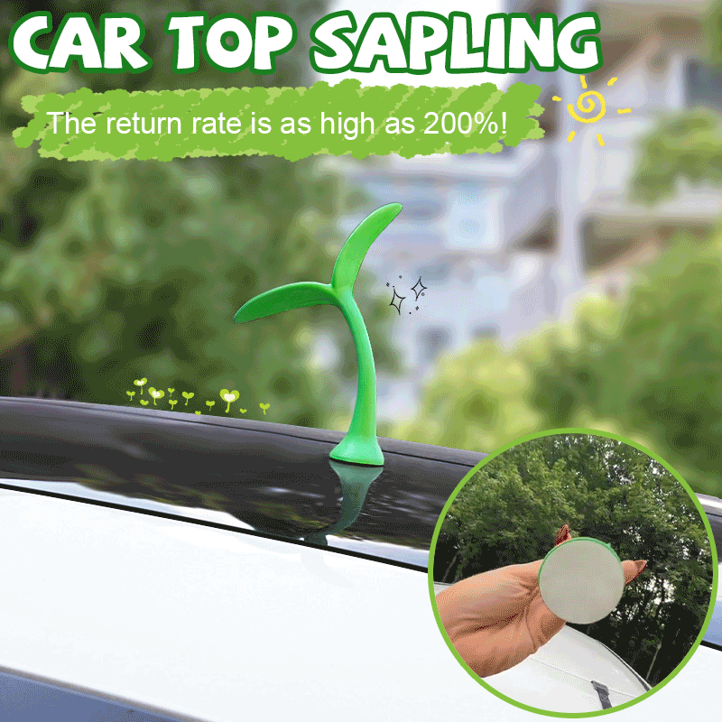 Car top sapling