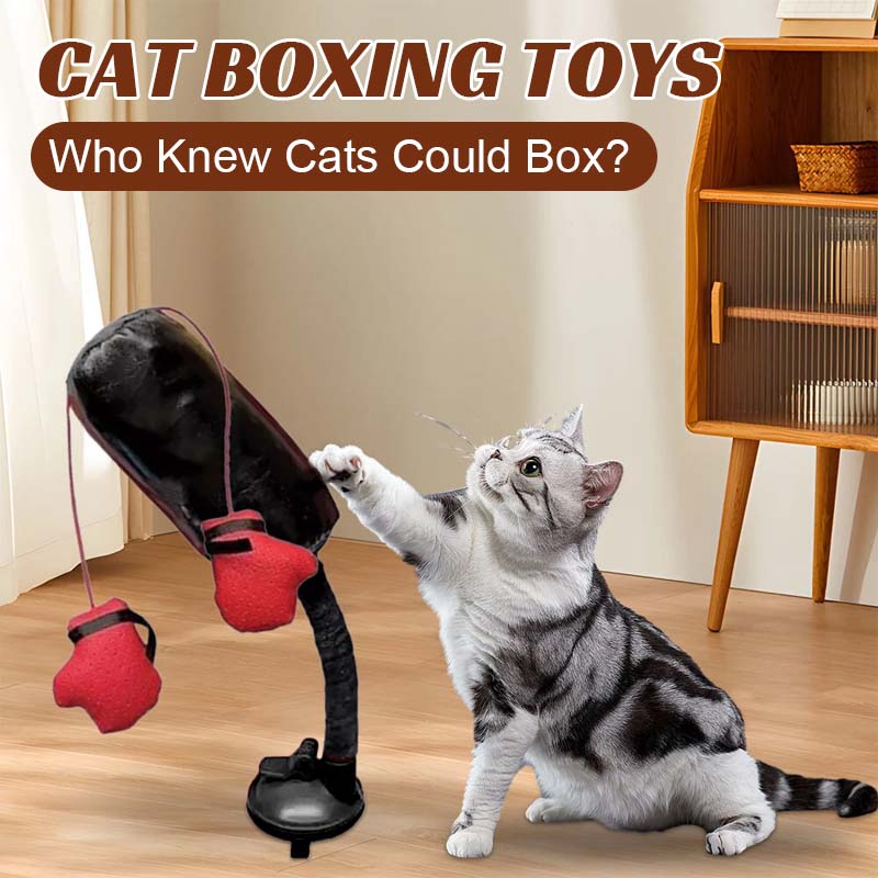 🔥Last Day Promotion 49% OFF🔥 Cat Punching Bag Toy
