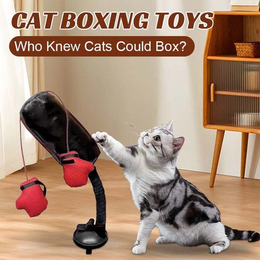 🔥Last Day Promotion 49% OFF🔥 Cat Punching Bag Toy