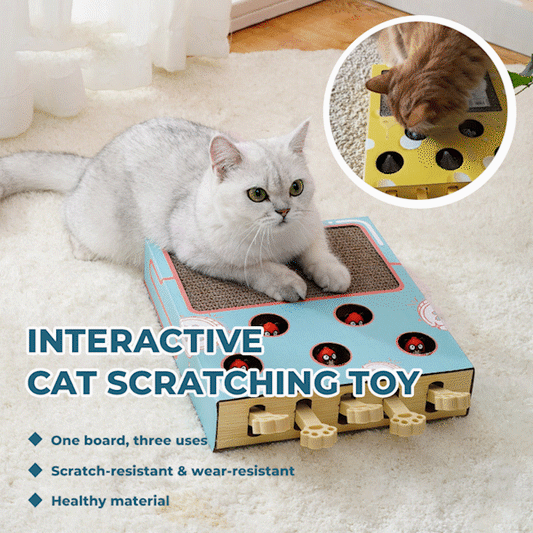 🔥 Last Day 49% OFF 🔥3-in-1 Whack-A-Mole Puzzle Toy