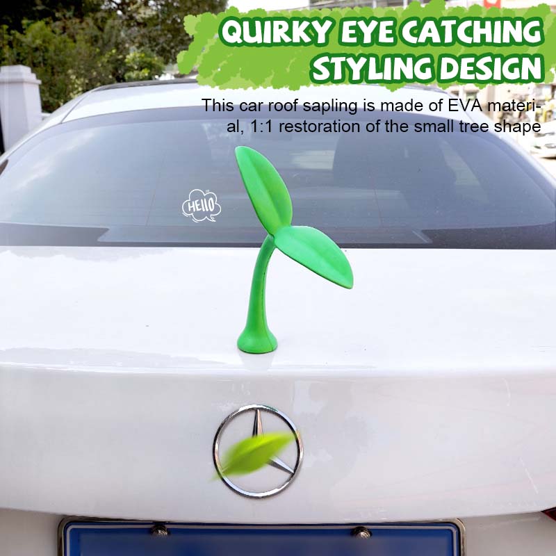 Car top sapling