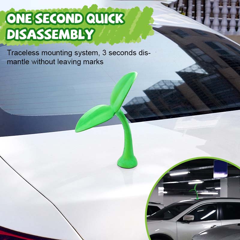 Car top sapling
