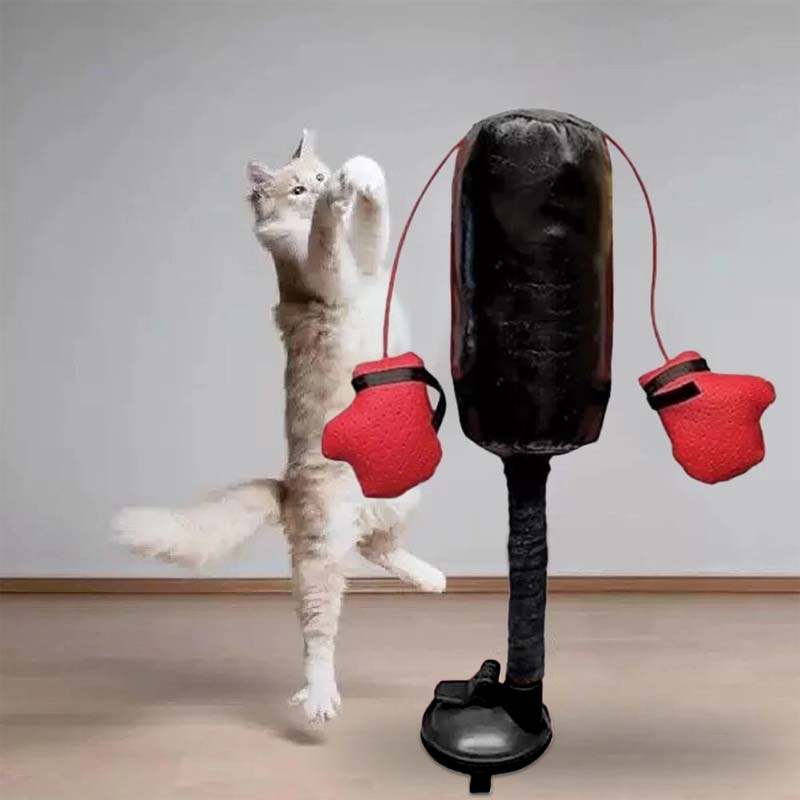 🔥Last Day Promotion 49% OFF🔥 Cat Punching Bag Toy