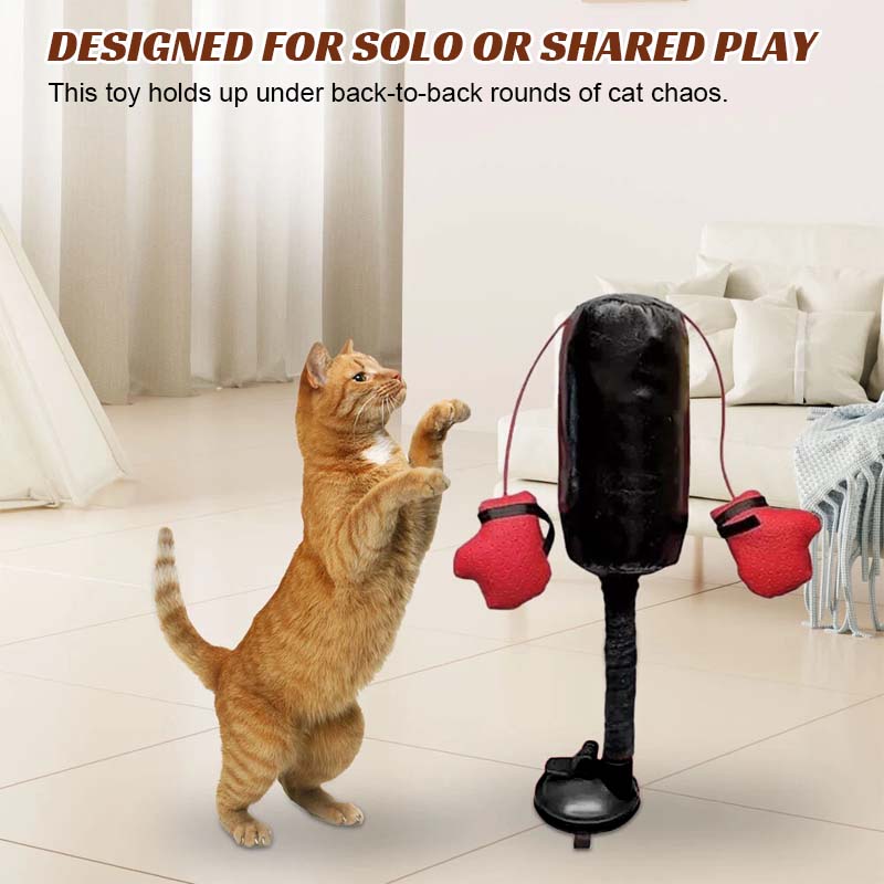 🔥Last Day Promotion 49% OFF🔥 Cat Punching Bag Toy