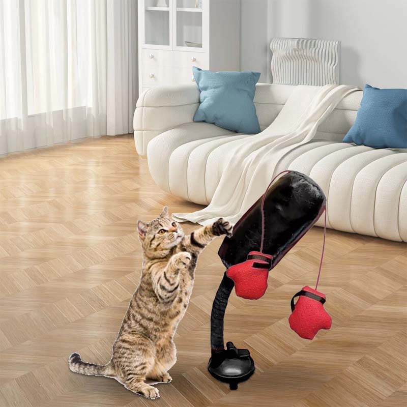 🔥Last Day Promotion 49% OFF🔥 Cat Punching Bag Toy