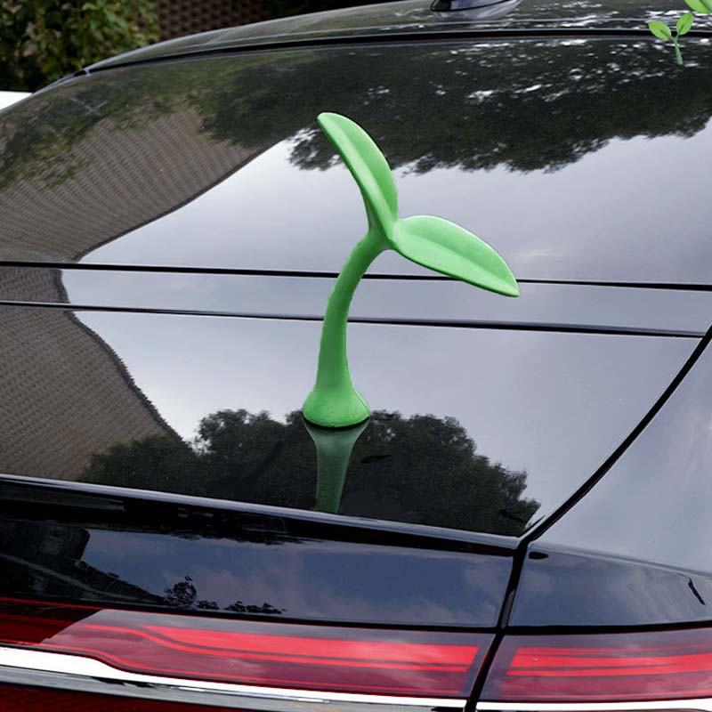 Car top sapling